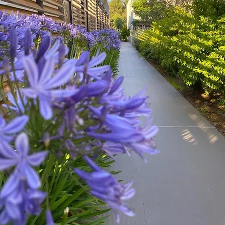 Costa Nera アパート