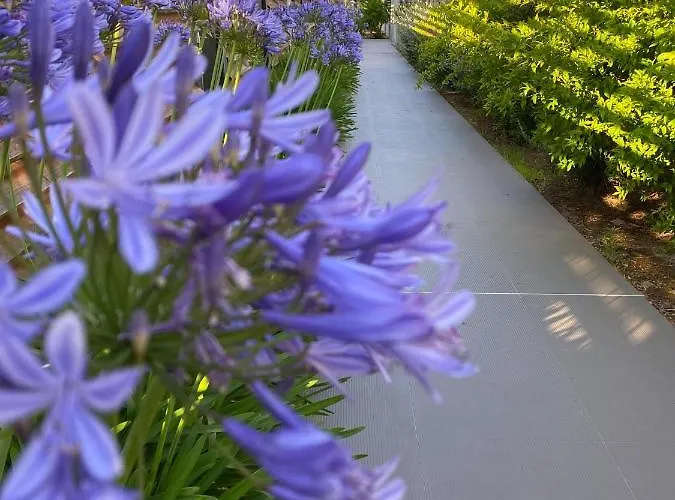 Costa Nera Apartment