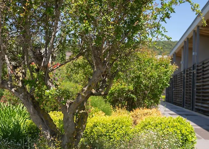 Costa Nera Lejlighed *