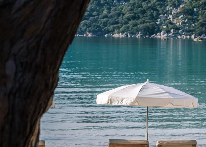 Costa Nera Lejlighed Porto-Vecchio (Corsica)